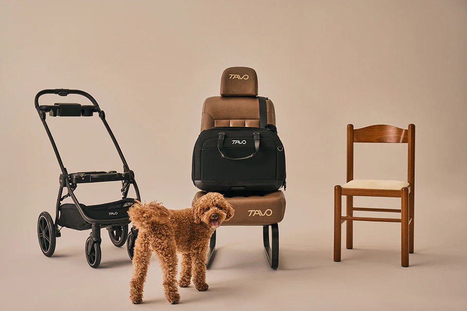 Tavo Pets Hendrick + Roscoe Trek + Adapter Travel System - Image 10