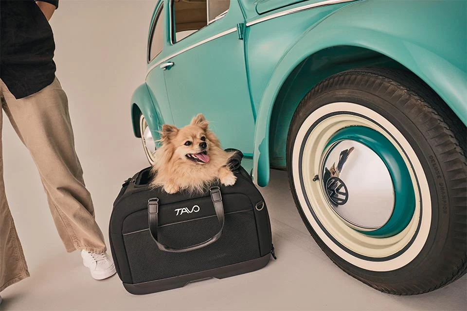 Tavo Pets Hendrick Pet Car Seat Carrier - Image 16