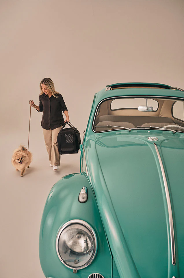 Tavo Pets Hendrick Pet Car Seat Carrier - Image 17