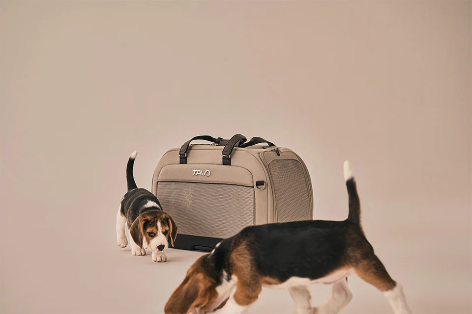 Tavo Pets Hendrick Pet Car Seat Carrier - Image 47