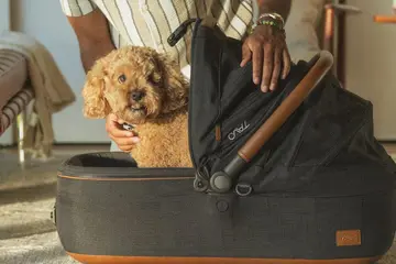 Tavo Pets Maeve Medium Rigid Pet Car Seats - Image 6