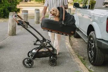 Tavo Pets Maeve Medium Rigid Pet Car Seats - Image 7