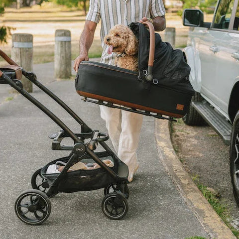 Tavo Pets Maeve + Roscoe 3in1 Pet Protection System - MEDIUM Ridge - Image 3