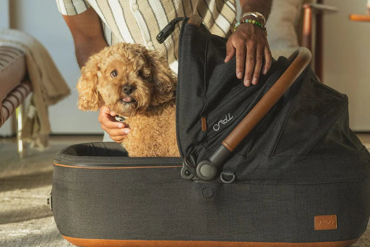 Tavo Pets Maeve + Roscoe 3in1 Pet Protection System - MEDIUM Ridge - Image 4