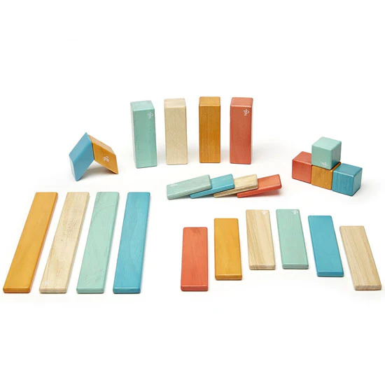 Tegu 24-Pieces  Block Set