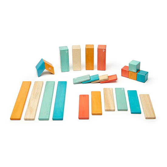 Tegu 24-Pieces  Block Set - Image 3