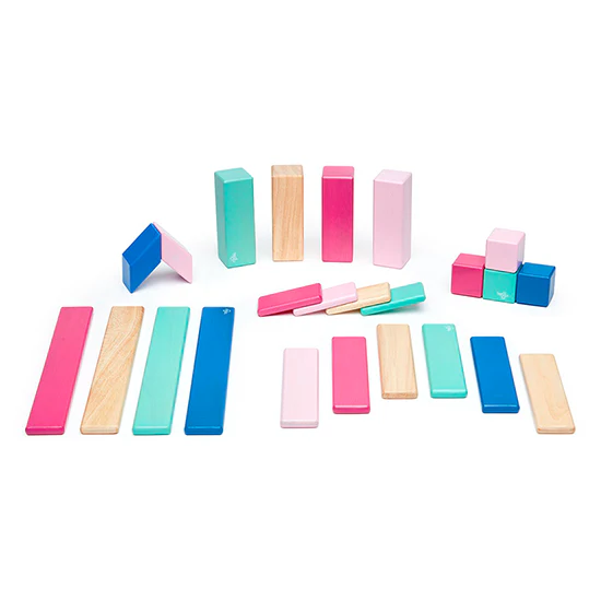 Tegu 24-Pieces  Block Set - Image 4