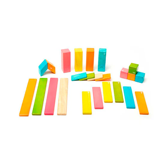 Tegu 24-Pieces  Block Set - Image 5
