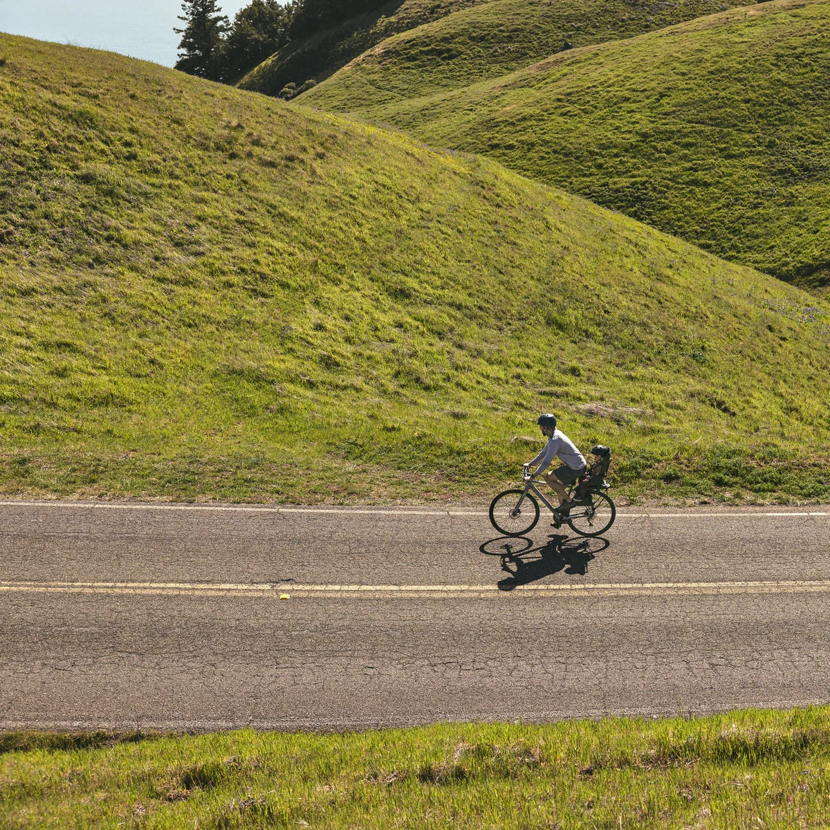 Veer Switchback Bike Mount & Rack - Image 6